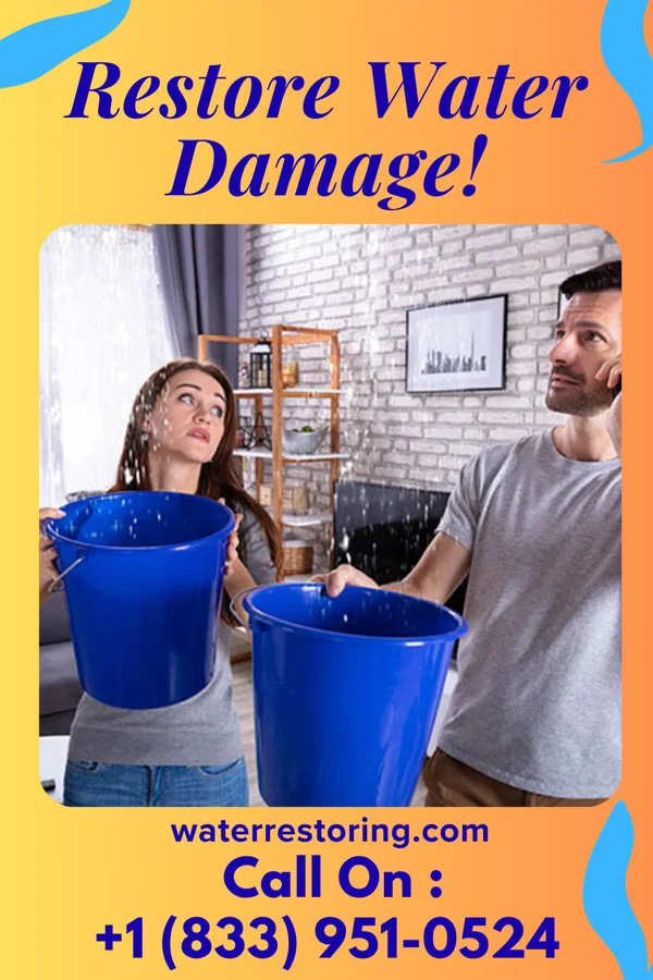 water restoration Shield Flood Mitigation LLC Brooklyn